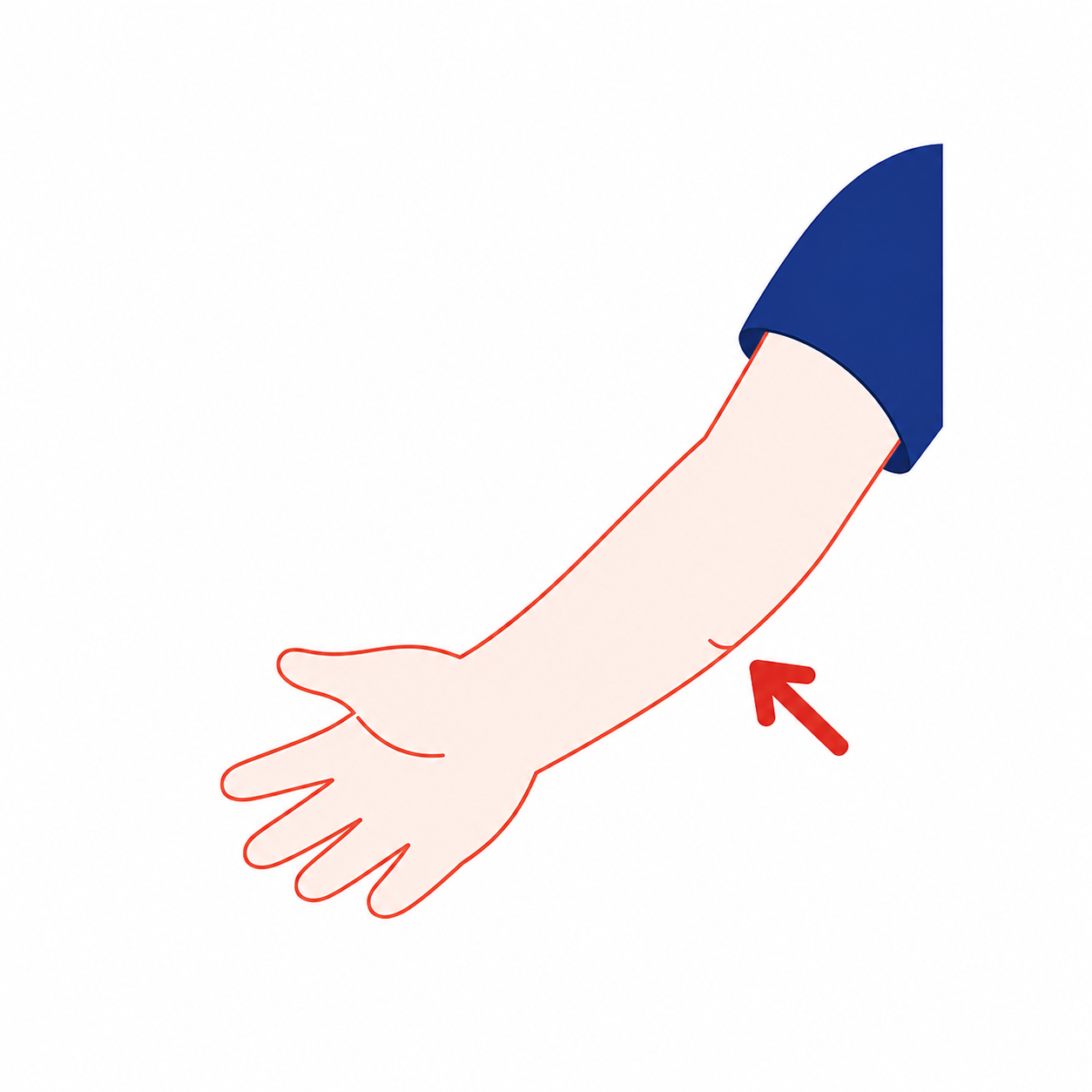 팔꿈치